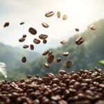 Hablemos del café y sus beneficios